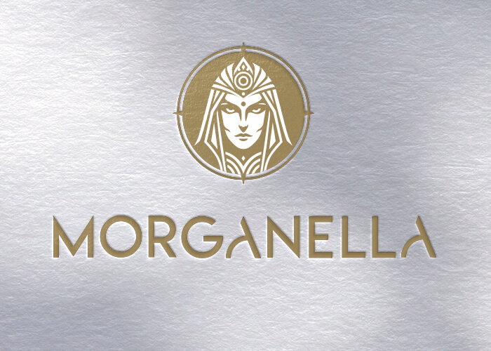 Logo Design  //  Profesionální a moderní