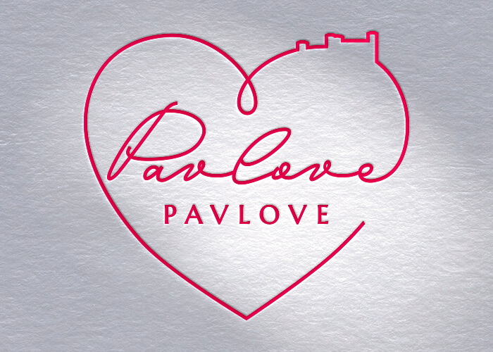 Logo Design  //  Profesionální a moderní