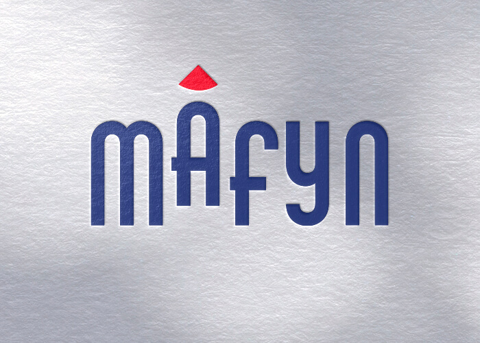 Logo Design  //  Profesionální a moderní