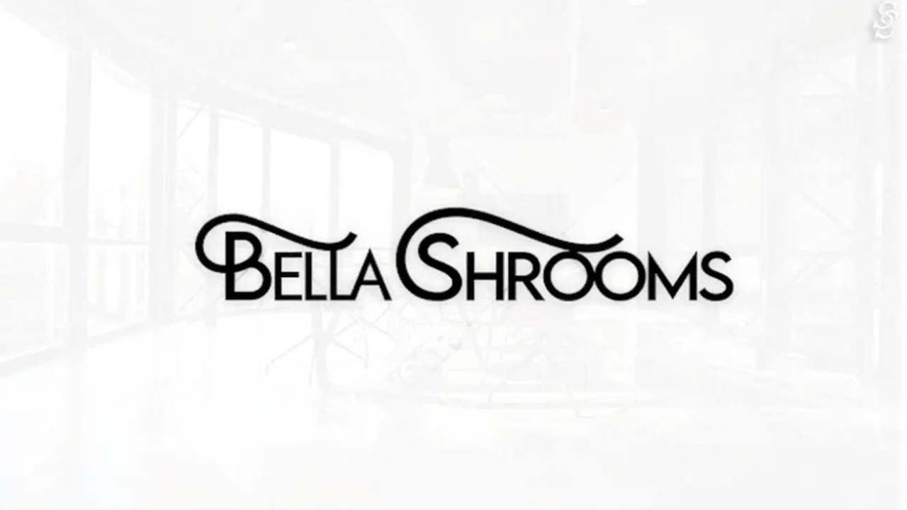 Profesionální minimalistické logo na míru