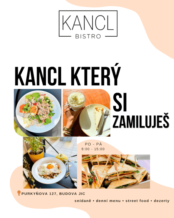 Příspěvek / Story na míru na Instagram