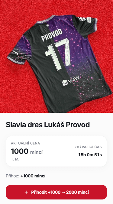 Tvorba a prodej aukčních platforem