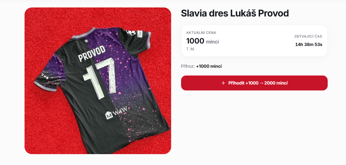 Tvorba a prodej aukčních platforem