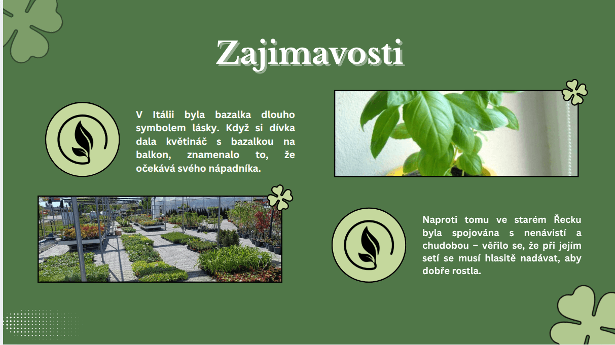 Profesionální prezentace v PowerPointu na vaše přání 