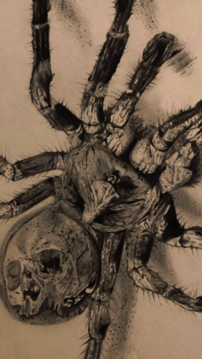 Ilustrace