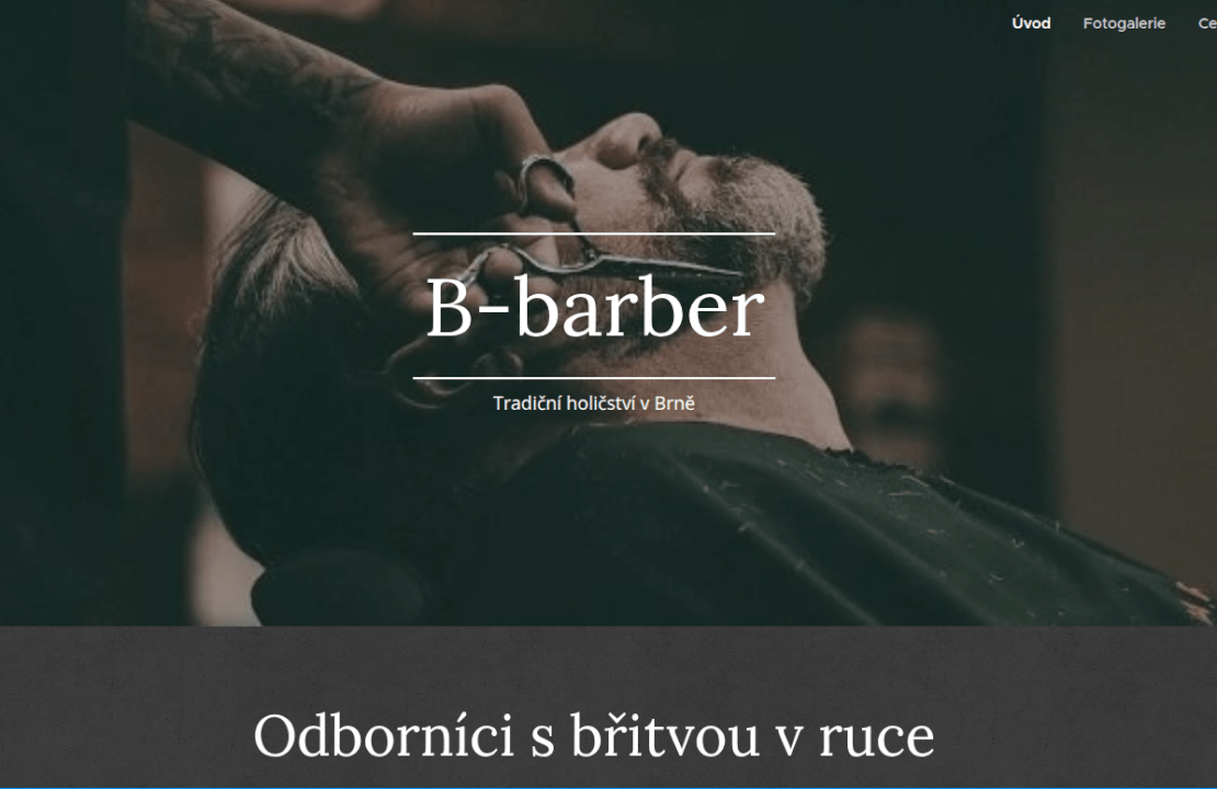 Webové stránky