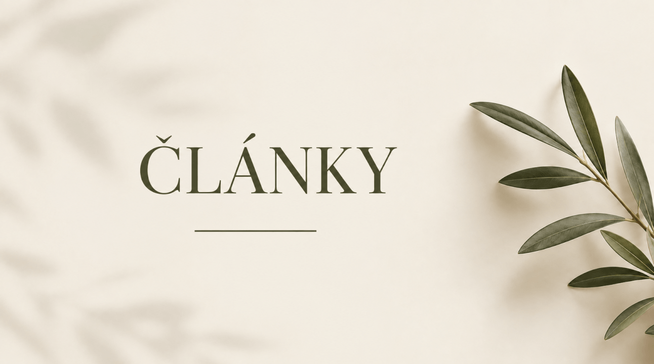 Článek na web / blog